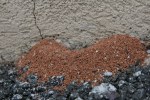 ANT HILL